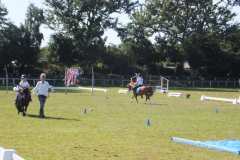 1_DSCF3447
