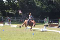 1_DSCF3456