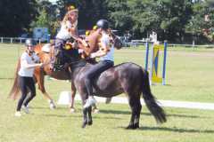 1_DSCF3457