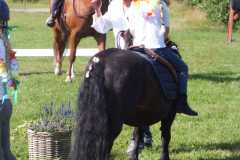 1_DSCF3458