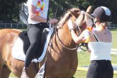 1_DSCF3459
