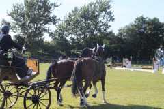 1_DSCF3467
