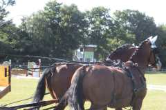 1_DSCF3469