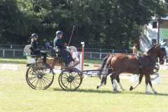 1_DSCF3478