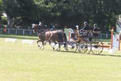 1_DSCF3484