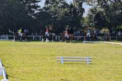 PXL_20260712_135912976