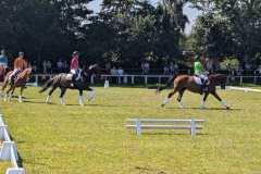 PXL_20260712_135920025