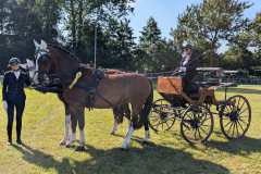 PXL_20260712_152917166.MP_