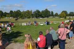 PXL_20260712_153213153.MP_