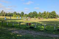 PXL_20260712_153643781.MP_