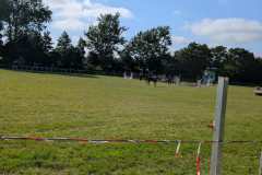 PXL_20260712_153951673