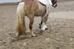 IMG-20250214-WA0015