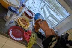 PXL_20250214_154405192