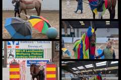 PCIMG_2025-01-26_14-38-34
