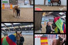 PCIMG_2025-01-26_14-43-19