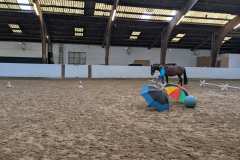 PXL_20250126_091940643.MP_