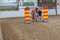 PXL_20250126_104631985