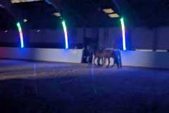 PXL_20241203_185650983.NIGHT_