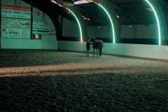 PXL_20241203_185713214.NIGHT_