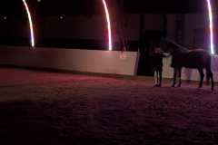 PXL_20241203_185827308.LONG_EXPOSURE-01.COVER_