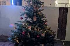 PXL_20241206_170346411.MP_