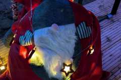 PXL_20241206_172605887.MP_