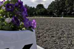 IMG-20240718-WA0004