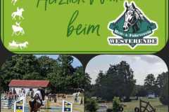 IMG-20240718-WA0014
