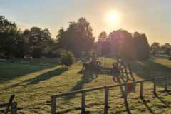 IMG-20240718-WA0023