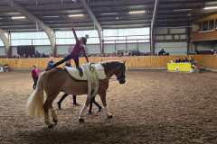 IMG-20250331-WA0005