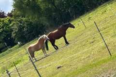 IMG-20250523-WA0004