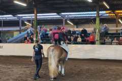 IMG-20241105-WA0012