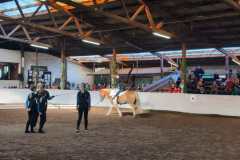 IMG-20241105-WA0021