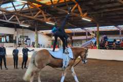 IMG-20241105-WA0026