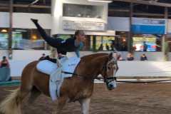 IMG-20241105-WA0027
